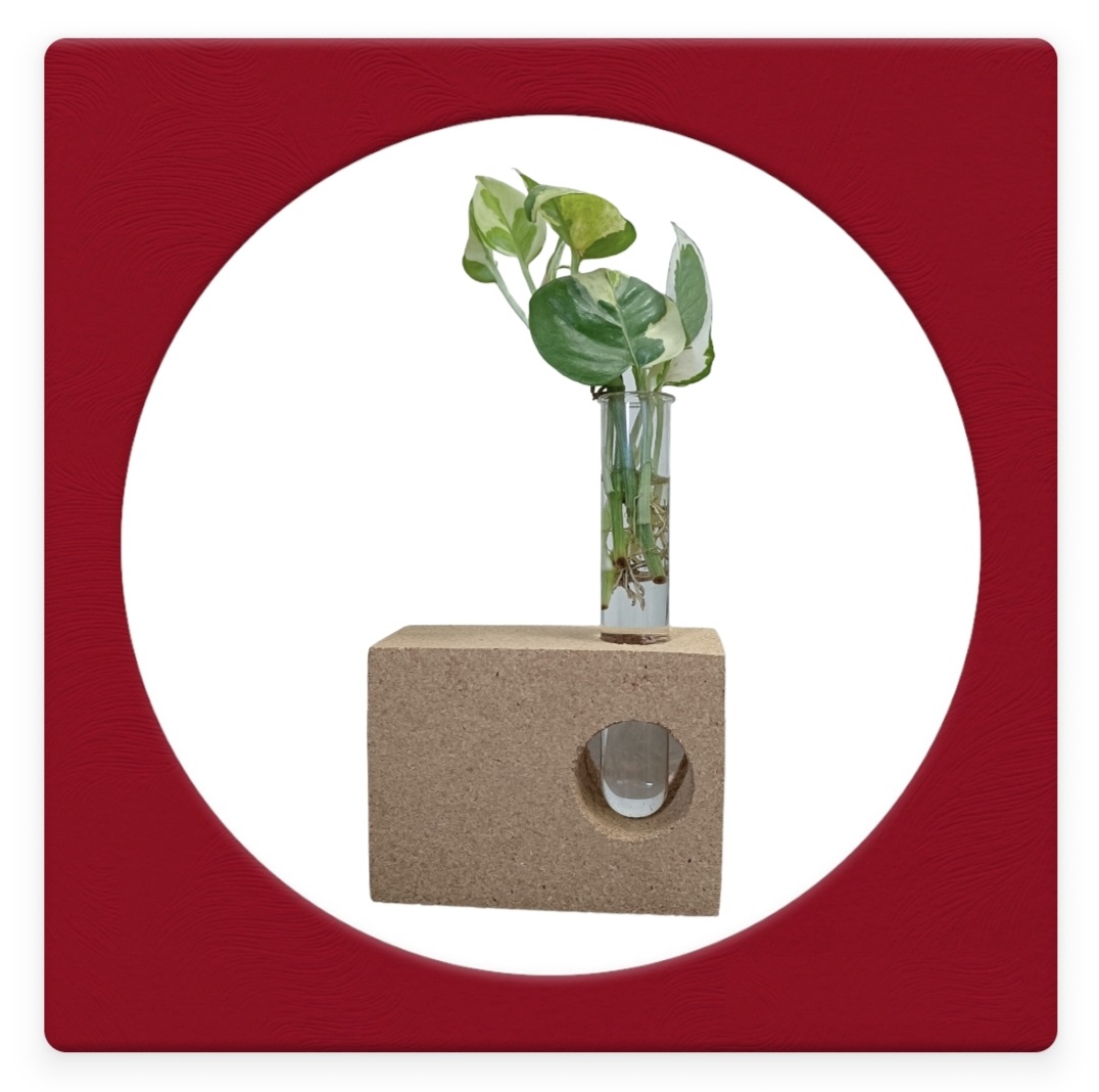 Cork Planter 3